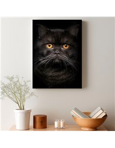Cuadro gato negro elegante de 50x35cm lienzografía - canvasde OSGESTUDIO 2