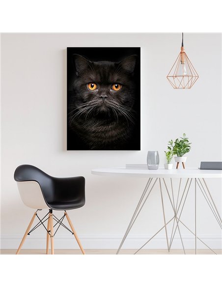 Cuadro gato negro elegante de 50x35cm lienzografía - canvas