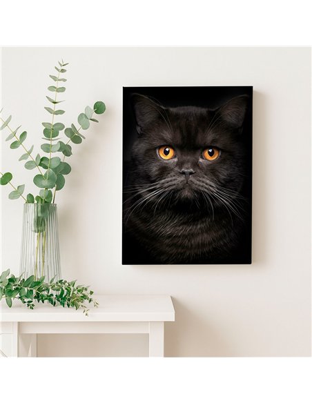 Cuadro gato negro elegante de 50x35cm lienzografía - canvas