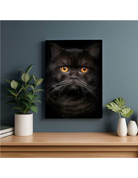 Cuadro gato negro elegante de 50x35cm lienzografía - canvas