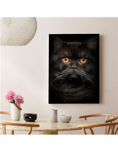 Cuadro gato negro elegante de 50x35cm lienzografía - canvas