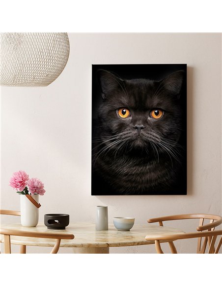 Cuadro gato negro elegante de 50x35cm lienzografía - canvas