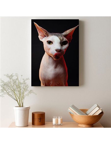 Cuadro gato esfinge audaz de 50x35cm lienzografía - canvas