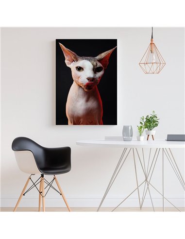 Cuadro gato esfinge audaz de 50x35cm lienzografía - canvas