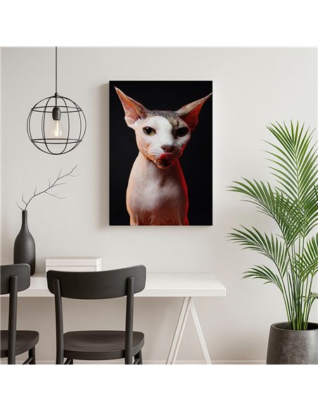 Cuadro gato esfinge audaz de 50x35cm lienzografía - canvas