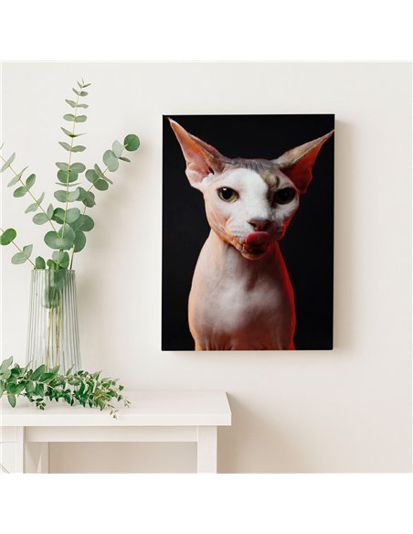 Cuadro gato esfinge audaz de 50x35cm lienzografía - canvas