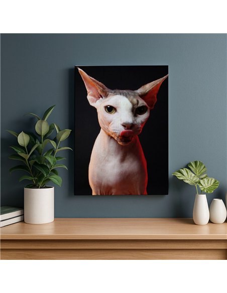 Cuadro gato esfinge audaz de 50x35cm lienzografía - canvas
