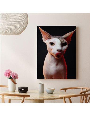 Cuadro gato esfinge audaz de 50x35cm lienzografía - canvas