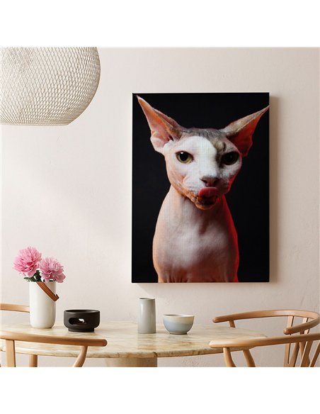 Cuadro gato esfinge audaz de 50x35cm lienzografía - canvas
