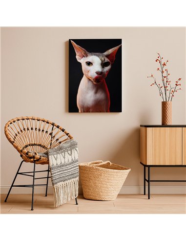 Cuadro gato esfinge audaz de 50x35cm lienzografía - canvas