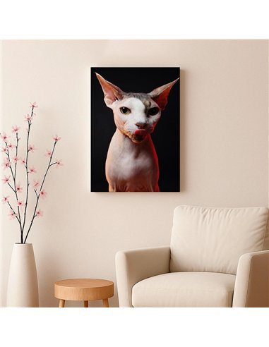 Cuadro gato esfinge audaz de 50x35cm lienzografía - canvas