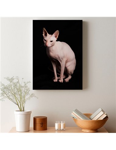 Cuadro gato esfinge elegante de 50x35cm lienzografía canvas