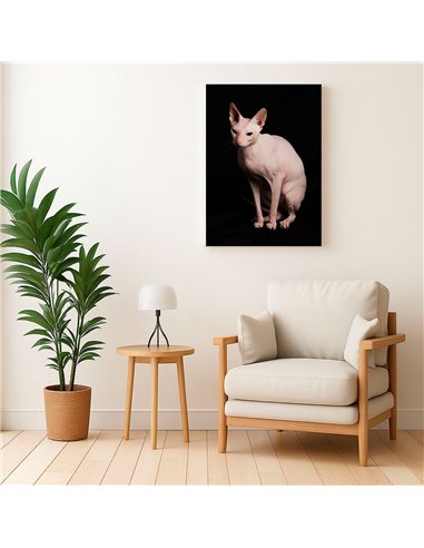 Cuadro gato esfinge elegante de 50x35cm lienzografía canvas