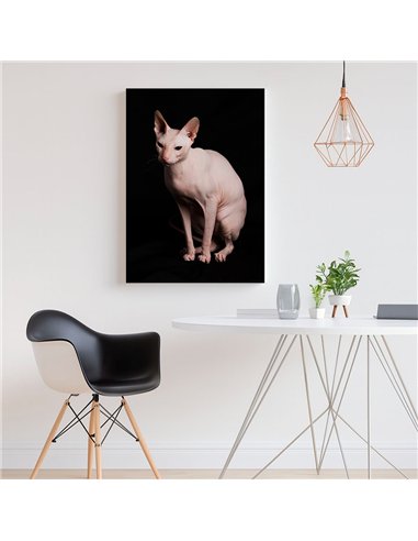 Cuadro gato esfinge elegante de 50x35cm lienzografía canvas