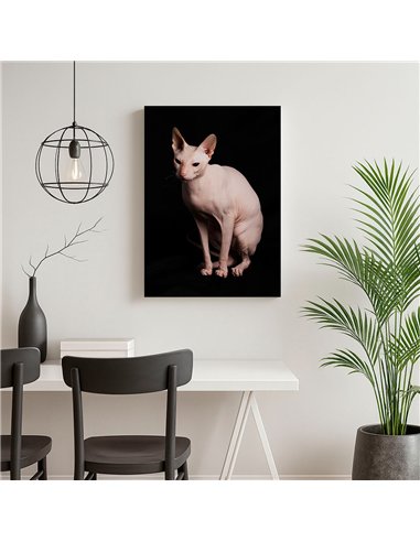 Cuadro gato esfinge elegante de 50x35cm lienzografía canvas