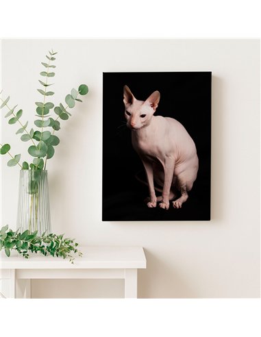 Cuadro gato esfinge elegante de 50x35cm lienzografía canvas