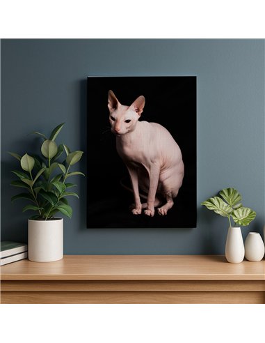 Cuadro gato esfinge elegante de 50x35cm lienzografía canvas