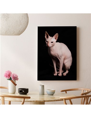 Cuadro gato esfinge elegante de 50x35cm lienzografía canvas