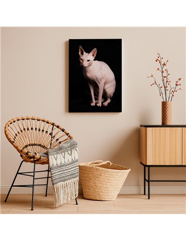 Cuadro gato esfinge elegante de 50x35cm lienzografía canvas