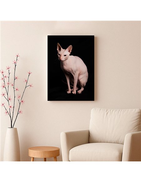 Cuadro gato esfinge elegante de 50x35cm lienzografía canvas