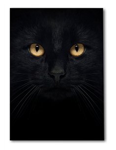 Cuadro decorativo gato negro 50x35cm lienzografía - canvas