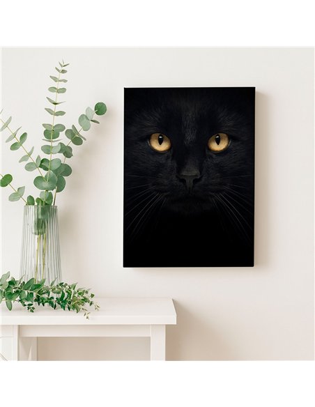 Cuadro decorativo gato negro 50x35cm lienzografía - canvas