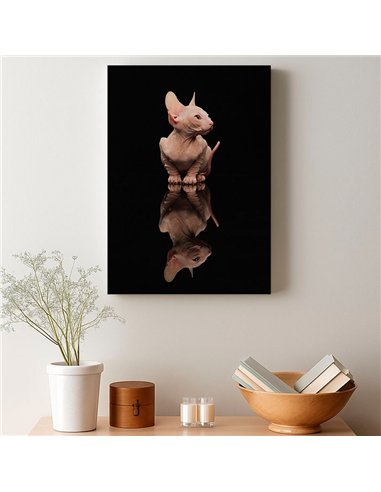 Cuadro gato reflejo moderno 50x35cm lienzografía - canvas