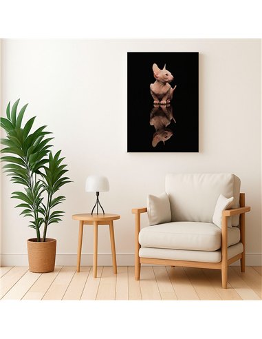 Cuadro gato reflejo moderno 50x35cm lienzografía - canvas