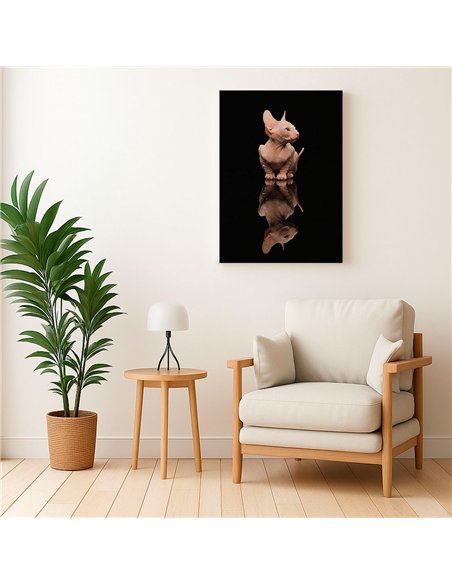 Cuadro gato reflejo moderno 50x35cm lienzografía - canvas