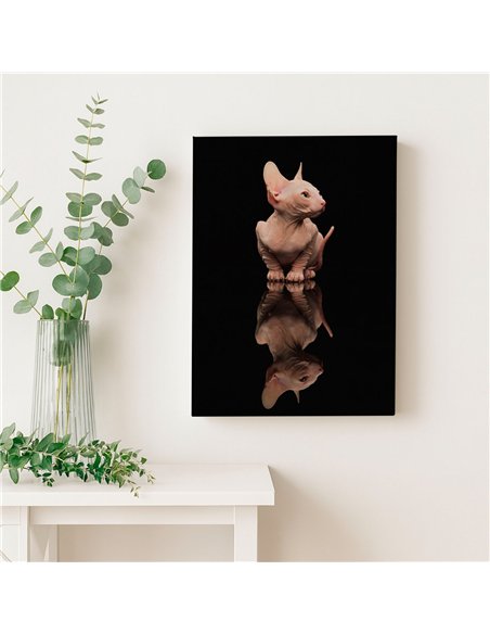 Cuadro gato reflejo moderno 50x35cm lienzografía - canvas