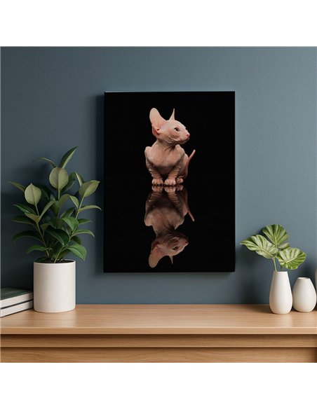 Cuadro gato reflejo moderno 50x35cm lienzografía - canvas