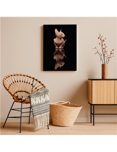 Cuadro gato reflejo moderno 50x35cm lienzografía - canvas