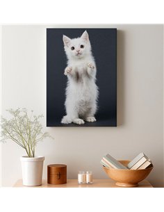Cuadro gato blanco tierno 50x35cm lienzografía - canvas 2
