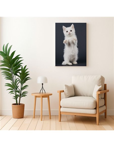 Cuadro gato blanco tierno 50x35cm lienzografía - canvas