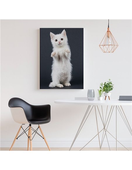 Cuadro gato blanco tierno 50x35cm lienzografía - canvas