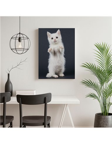 Cuadro gato blanco tierno 50x35cm lienzografía - canvas