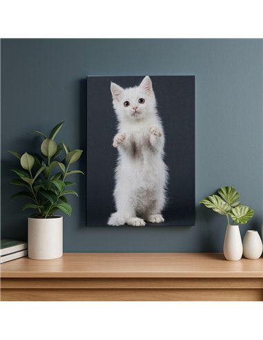 Cuadro gato blanco tierno 50x35cm lienzografía - canvas