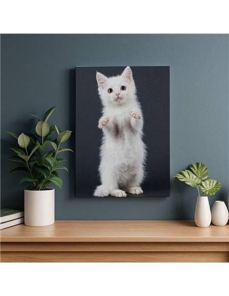 Cuadro gato blanco tierno 50x35cm lienzografía - canvas