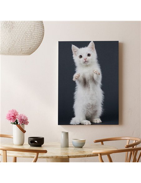 Cuadro gato blanco tierno 50x35cm lienzografía - canvas