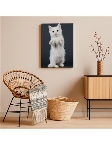 Cuadro gato blanco tierno 50x35cm lienzografía - canvas