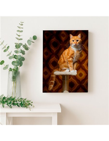 Cuadro gato naranja retro 50x35cm lienzografía - canvas