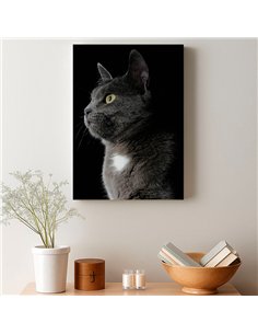 Cuadro gato gris elegante 50x35cm lienzografía - canvas 2
