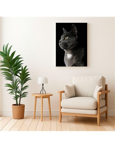 Cuadro gato gris elegante 50x35cm lienzografía - canvas