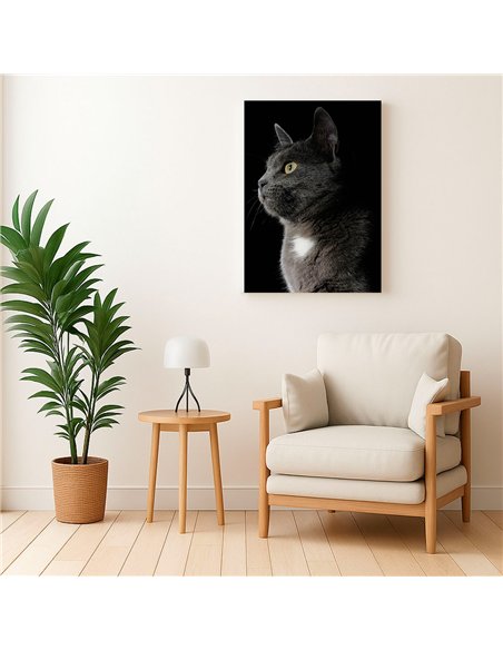 Cuadro gato gris elegante 50x35cm lienzografía - canvas