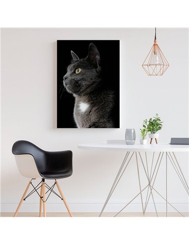 Cuadro gato gris elegante 50x35cm lienzografía - canvas