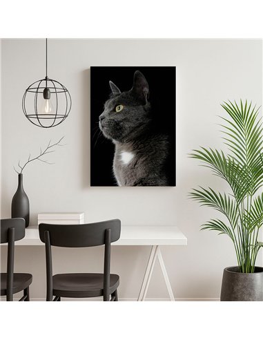 Cuadro gato gris elegante 50x35cm lienzografía - canvas