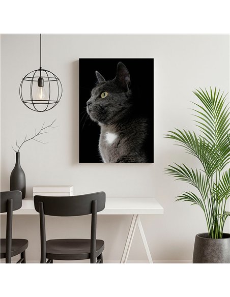 Cuadro gato gris elegante 50x35cm lienzografía - canvas