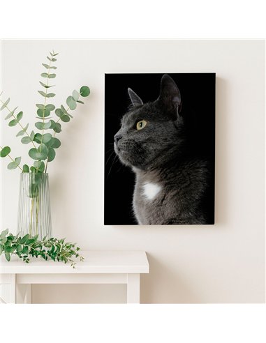 Cuadro gato gris elegante 50x35cm lienzografía - canvas