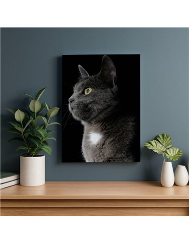 Cuadro gato gris elegante 50x35cm lienzografía - canvas