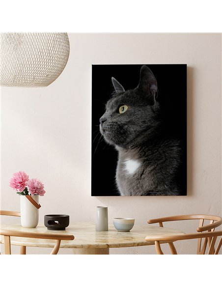 Cuadro gato gris elegante 50x35cm lienzografía - canvas